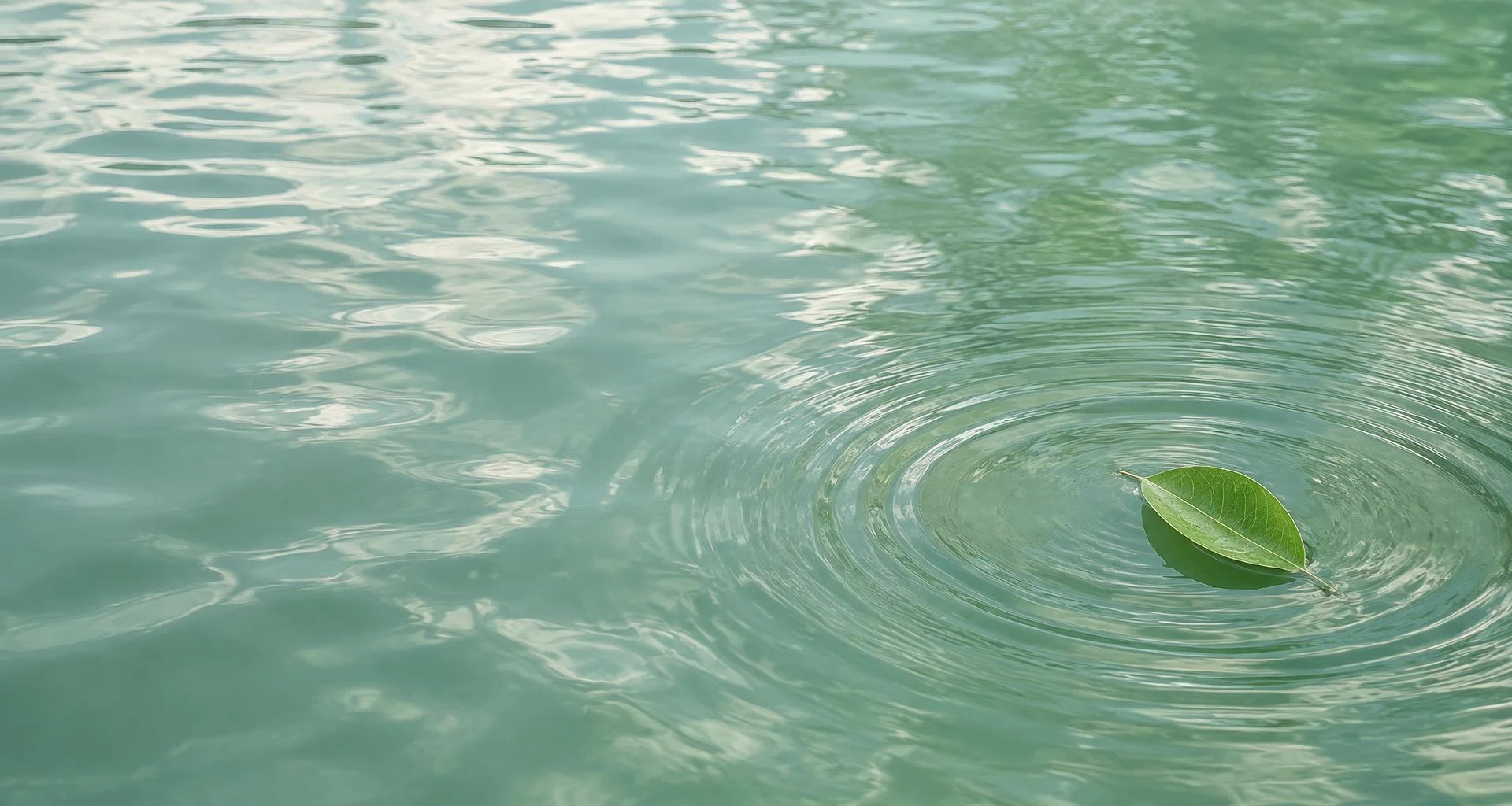 A green leaf resting on sunlit water, surrounded by gentle ripples
